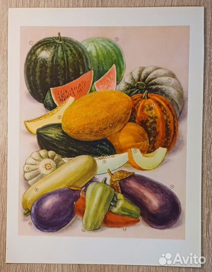 Страница из Детской Советской энциклопедии 62 года