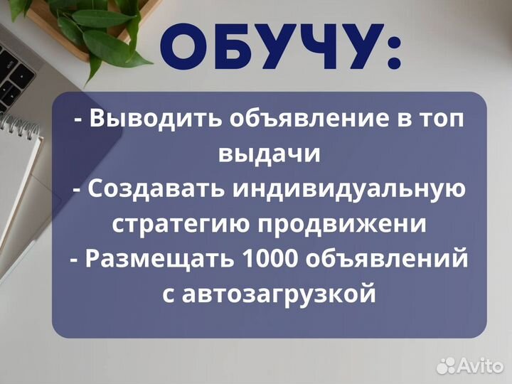Авитолог / Обучение на авитолога