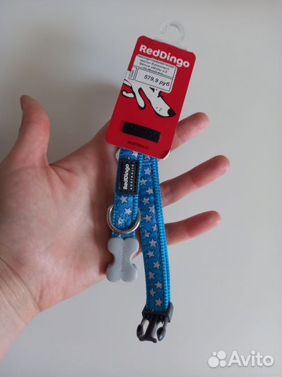 Амуниция для маленьких собак новая