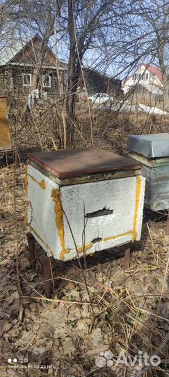 Ульи и оборудование