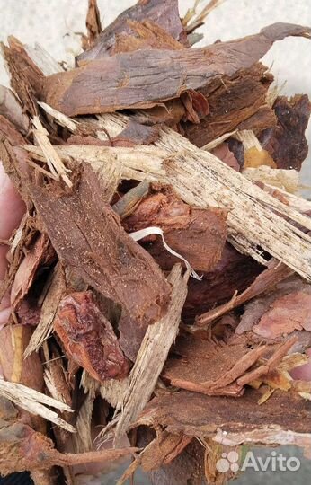 Кора сибирской лиственницы,Кора сосны