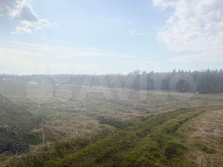 Участок 30 сот. (ИЖС)