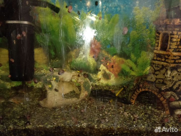 Аквариум