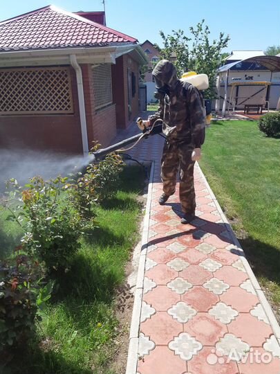 Дезинфекция