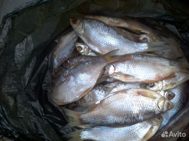 Тарань азовская судак