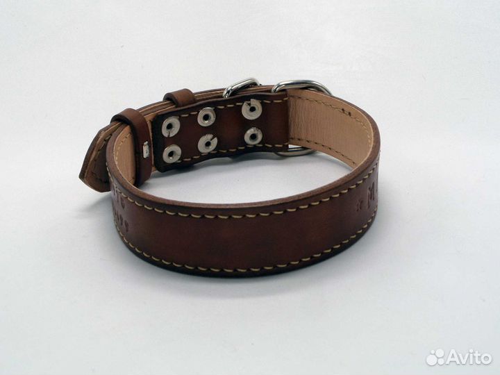 Ошейник для собак