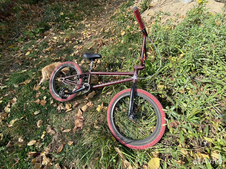 Велосипед bmx BMX tech team grasshopper