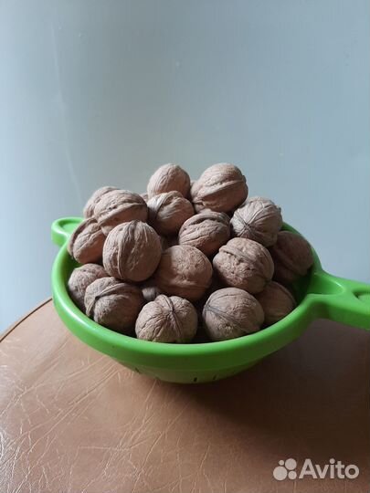 Грецкий орех