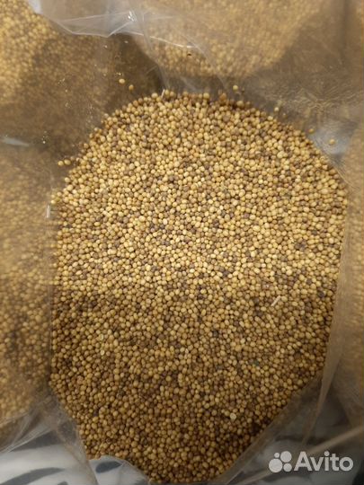 Горчица семена