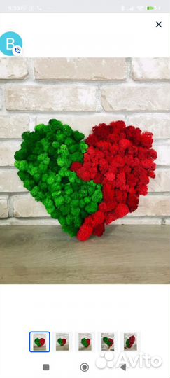 Мох стабилизированный оптом и в розницу