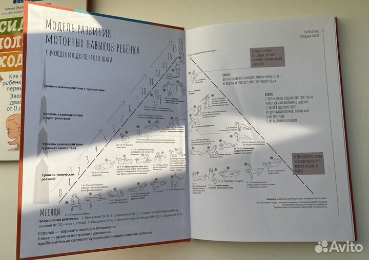 Галина Лупандина-Болотова сидеть ползать ходить