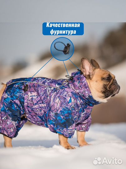 Комбинезон для собаки бульдога и мопса