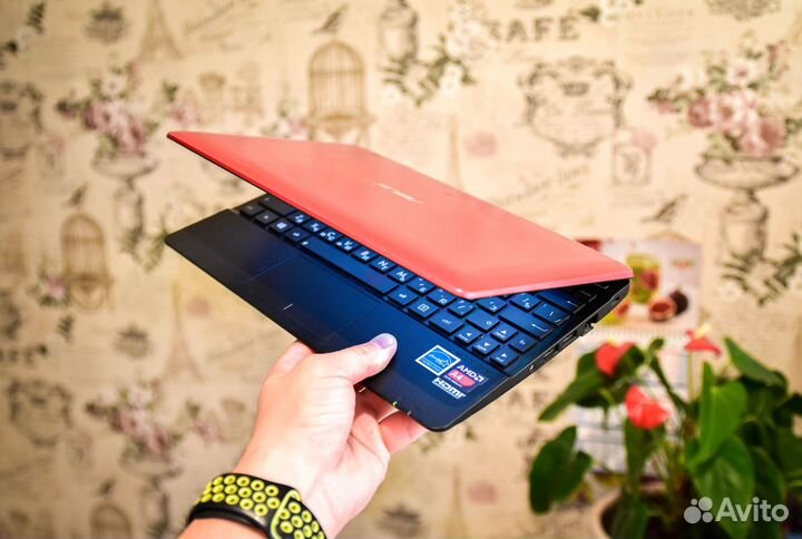 Ультрабук / ноутбук asus с сенсорным экраном