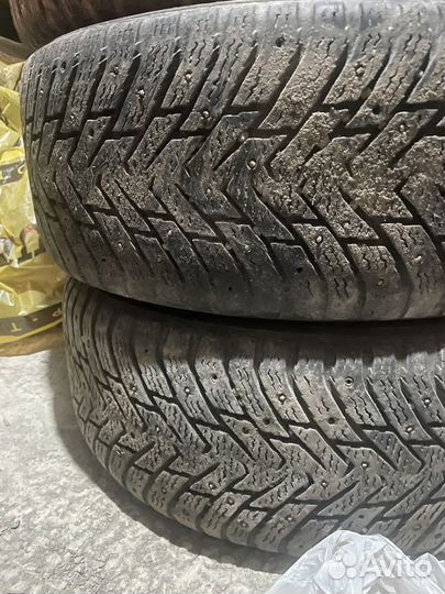 Nokian Tyres Hakkapeliitta 8 215/50 R17