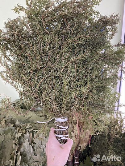 Веники для бани