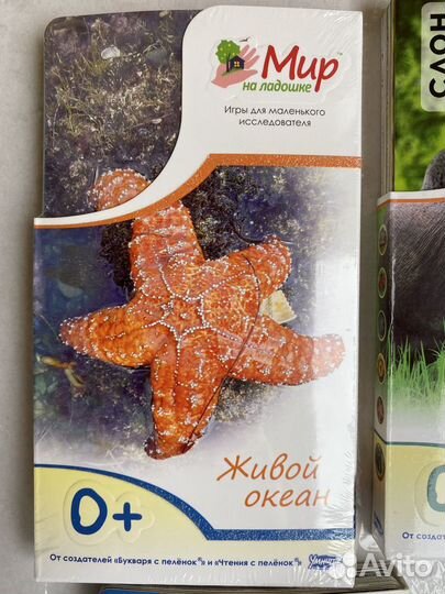 Карточки интеллектуальные серии Мир на ладошке