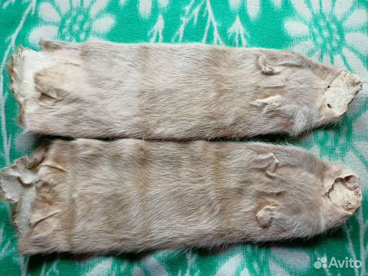 Шкурка животного. Нутрия