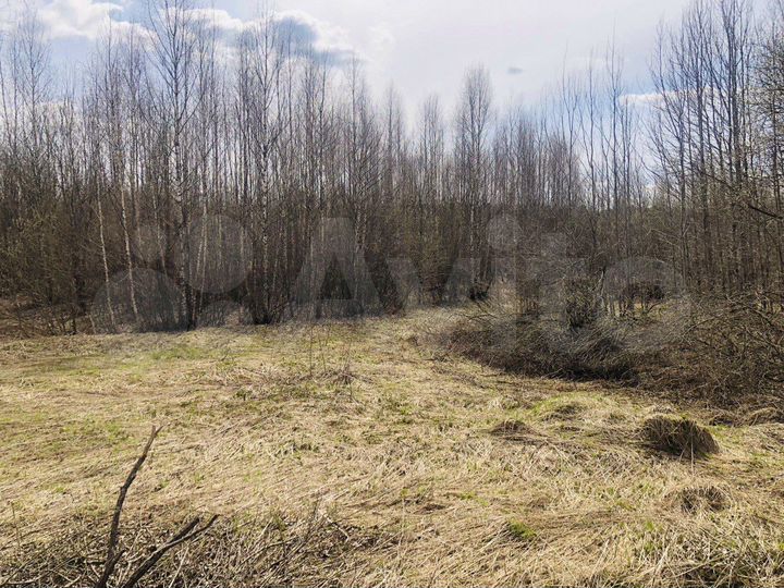 Участок 17 сот. (ИЖС)