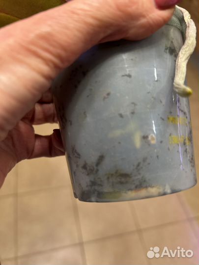 Орхидея фаленопсис радужный