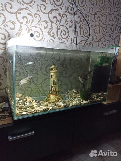 Аквариум с рыбками и все принадлежности