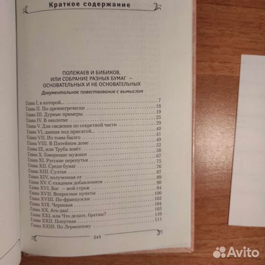 Э.Шульман Полежаев и Бибиков 2008