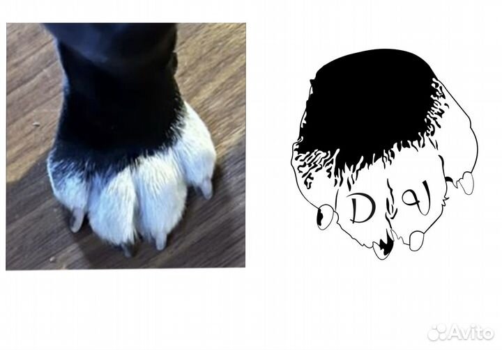 Отрисовка в векторе, создание логотип с нуля