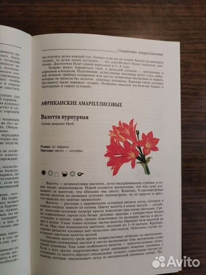 Книга Полная энциклопедия комнатных растений