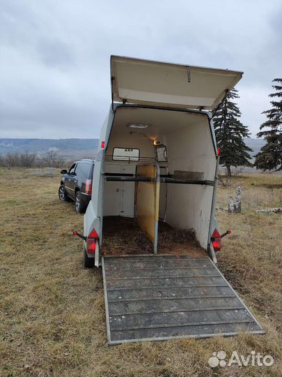 Перевозка лошадей