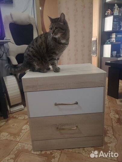 Тумба прикроватная закрытая Заречье Ника