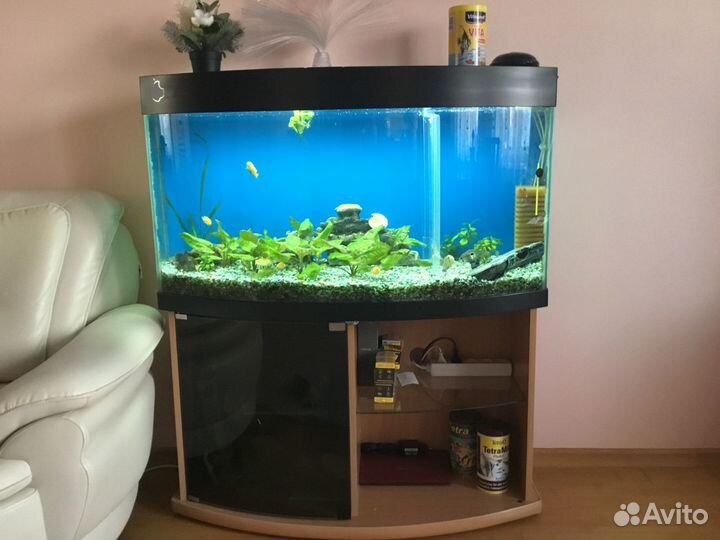 Аквариум панорамный 200л