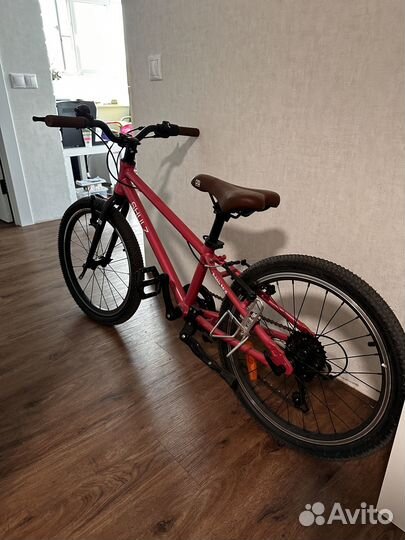 Shulz bubble 20 race