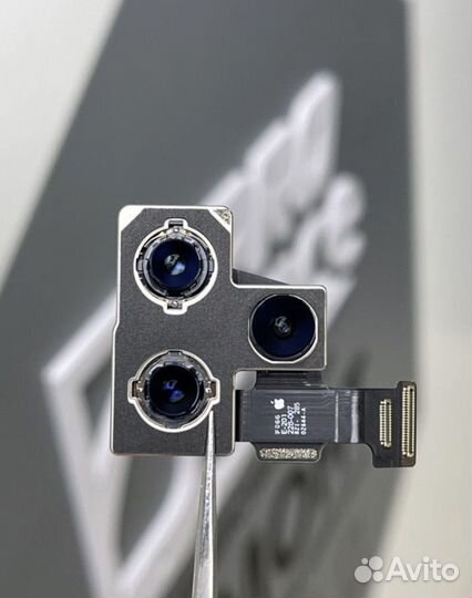 Камера Основная iPhone Оригинал / Все Модели