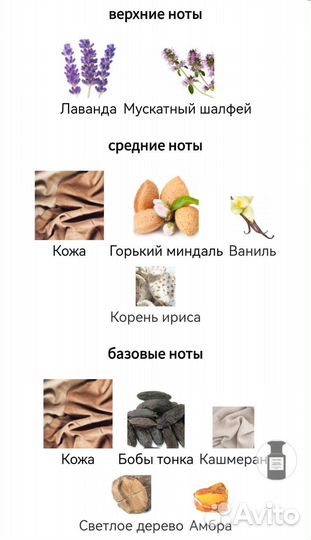 Tom Ford Fucking fabulous