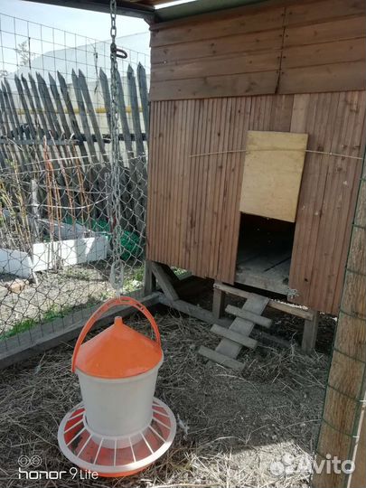 Готовый курятник