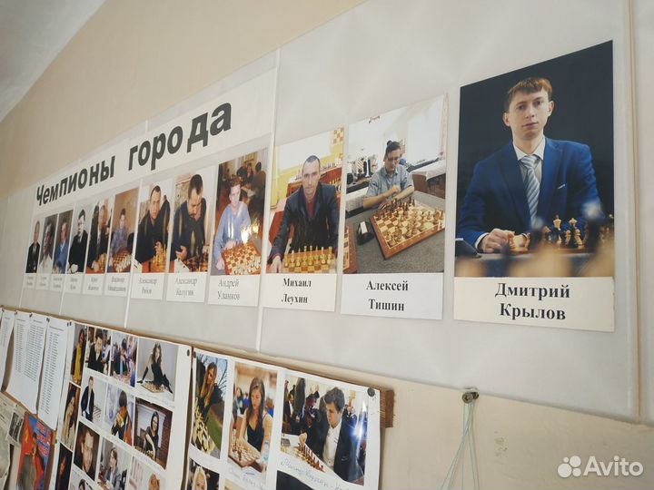 Обучение шахматам (тренер)