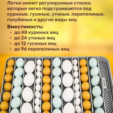 Инкубатор Sititek 48