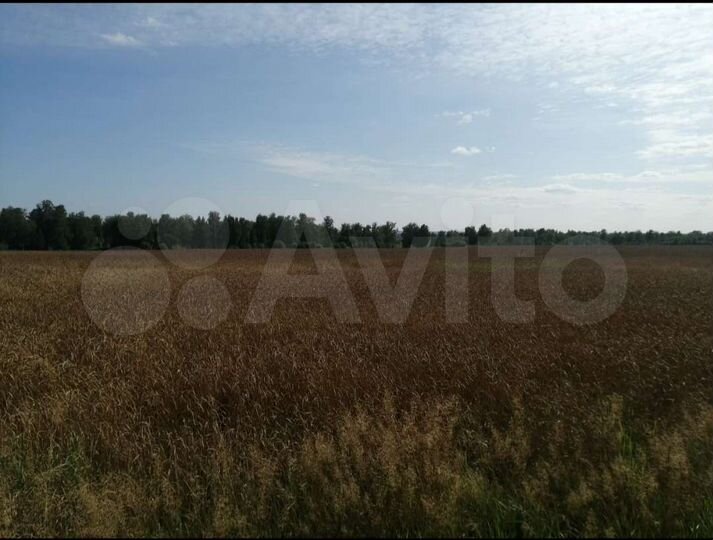 Участок 18 га (СНТ, ДНП)