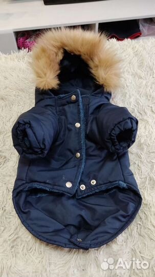 Комбинезон для собак мелких пород XL