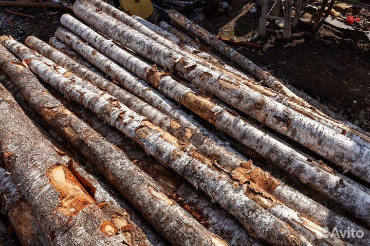 Дрова березовые