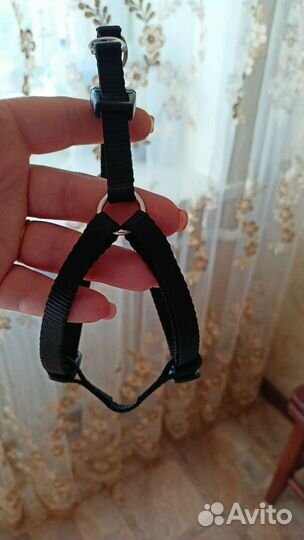 Шлейка для маленькой собаки и миска