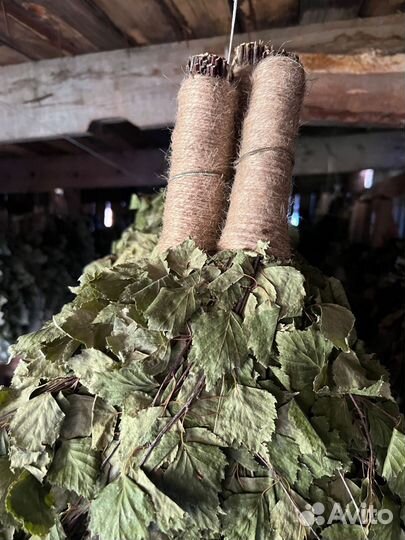 Веник для бани берёзовый дуб