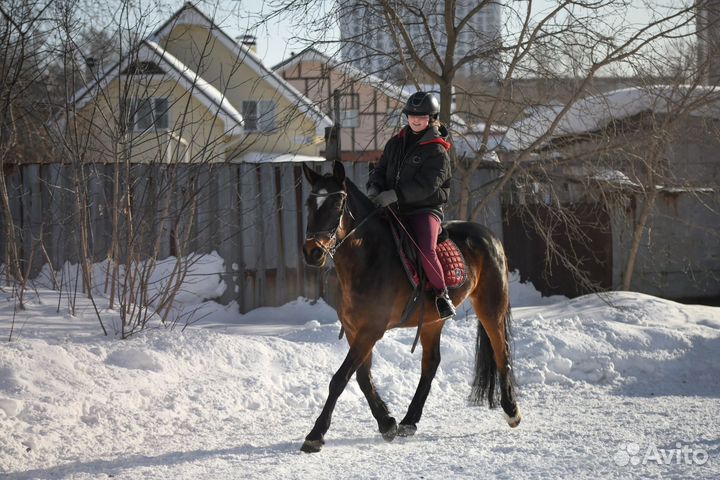 Обучение верховой езде