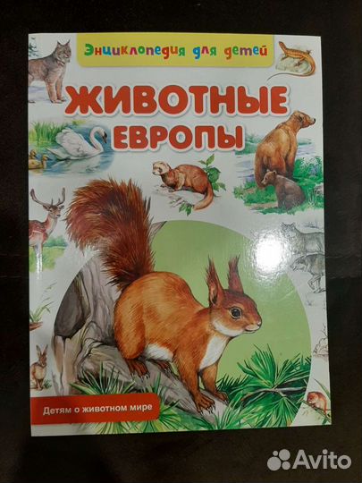 Набор книг