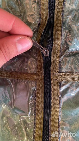 Насессер полевой большой