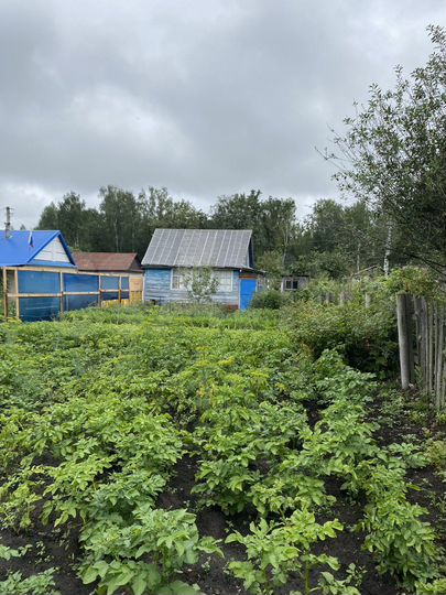 Дача 20 м² на участке 4 сот.