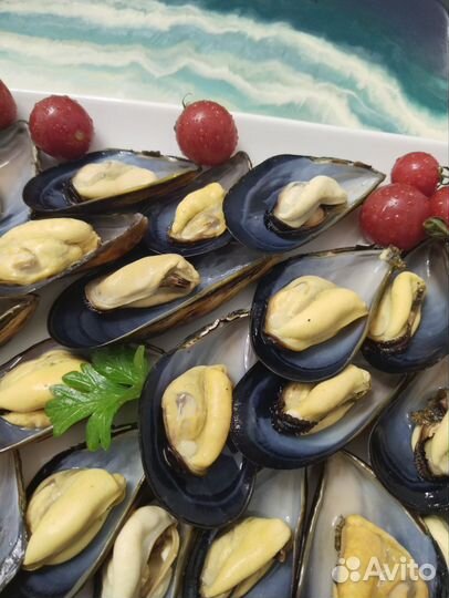 Мидии и устрицы черноморские