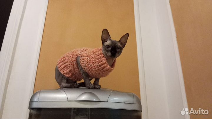 Кофточки вязаные для кошек-ручная работа