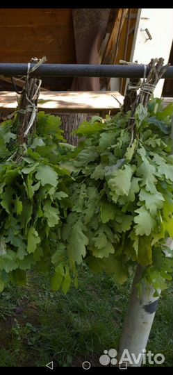 Дубовые, Березовые веники,свежие