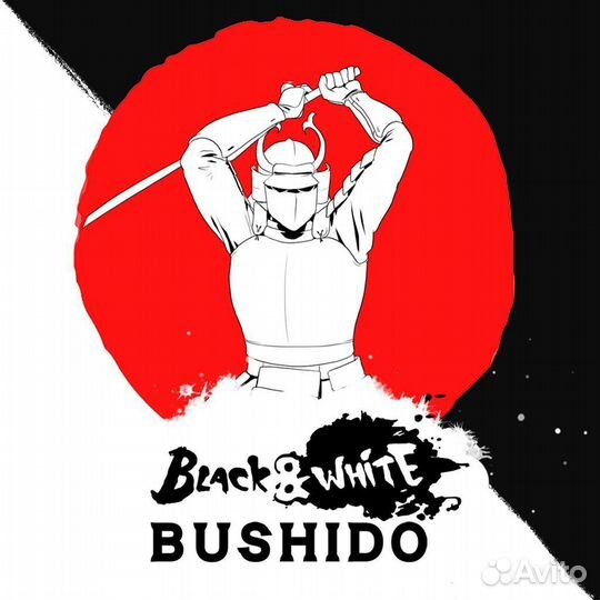 Black White Bushido PS4/PS5