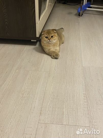 Мальчик ищет девочку